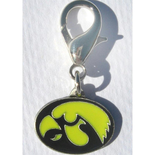 Iowa Hawkeyes Collar Charm