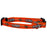 Illinois Fighting Illini Pet Collar