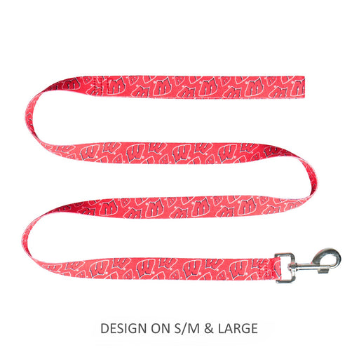 Wisconsin Badgers Pet Nylon Leash - S/M