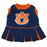 Auburn Cheerleader Dog Dress