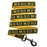 Michigan Wolverines Pet Leash