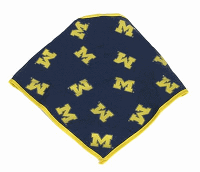 Michigan Wolverines Dog Bandana Style #2