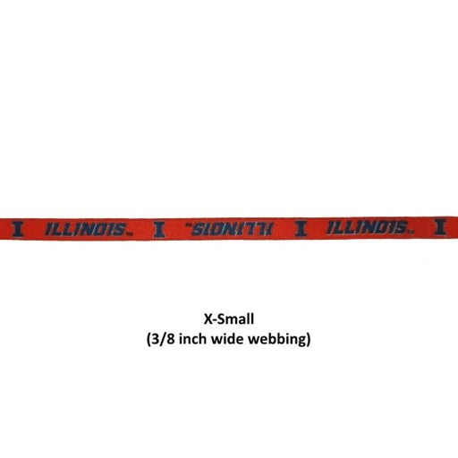 Illinois Fighting Illini Nylon Leash