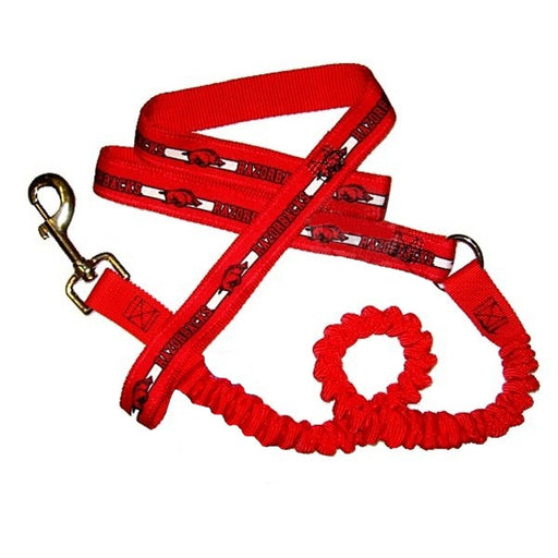 Arkansas Razorbacks Bungee Ribbon Pet Leash