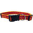 Iowa State Cyclones Pet Collar by Pets First