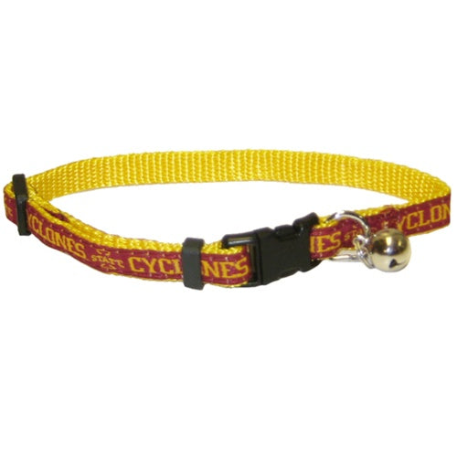 Iowa state 2024 dog collar