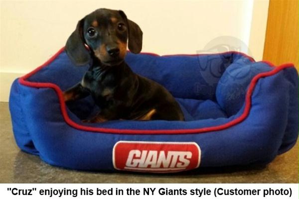 Add on Outfit for Dachshund Doxie New York Mets Baseball 