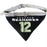 Seattle Seahawks "12th Man" Pet Collar Bandana