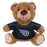 Tennessee Titans Teddy Bear Pet Toy